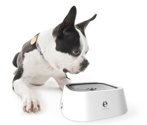 Pet Water Dispenser for Dogs and Cats, Splash-Proof